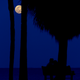 Illustration for article titled Some ISS Action And A Super Moon